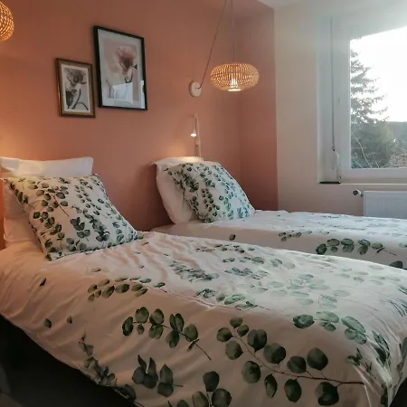 Maison Avec Garage, Terrasse, L'herboristerie Bethune